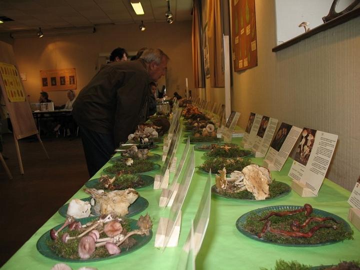 2008 10 Expo Bergerie Rambouillet 34